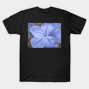 Delicate Bue Flower Photography V2 T-Shirt